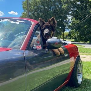 Meet your Posher, Brian